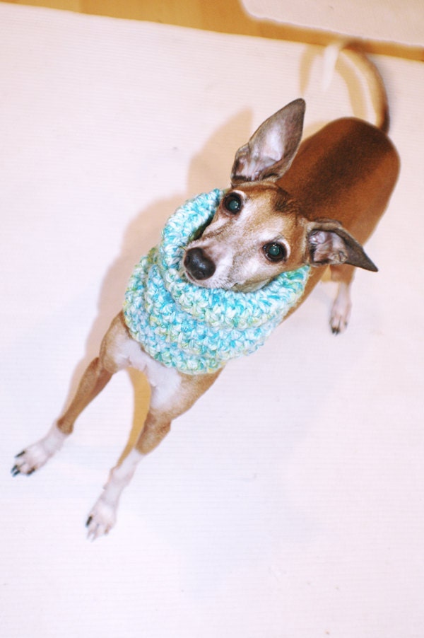 Italian Greyhound (Small Dog) Snood or Neck Warmer in Lime & Coconuts Color
