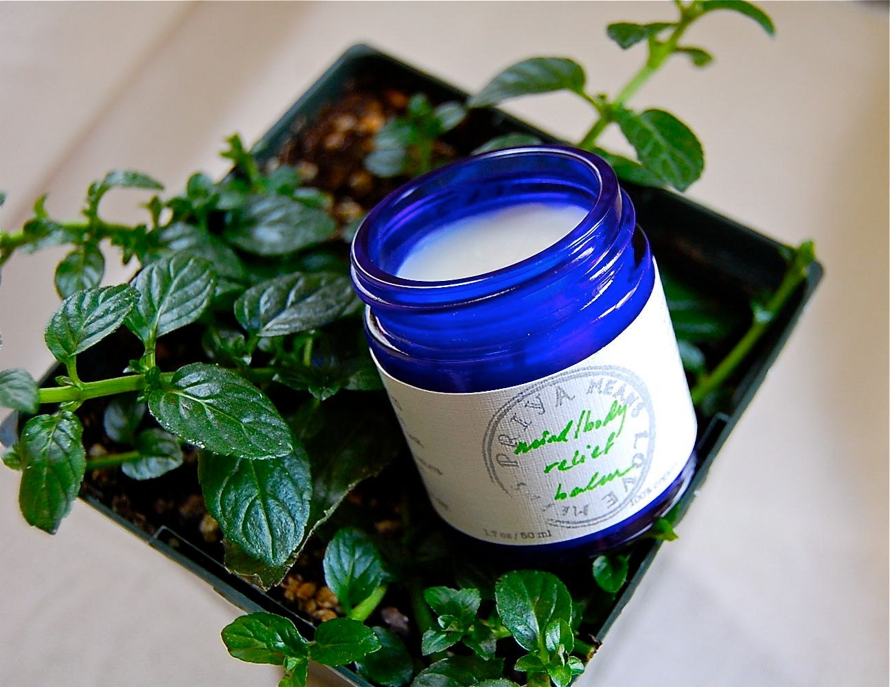 Mind/Body Relief Balm - an organic, soothing massage balm for tense muscles and for headaches (1.7 oz glass jar)