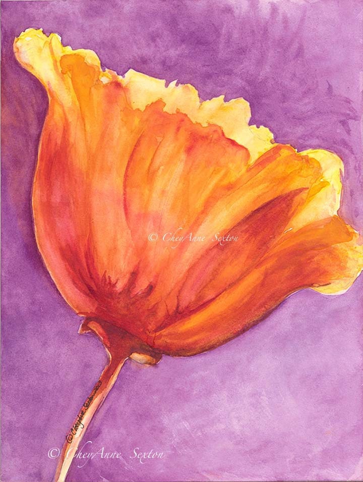 Tangerine Tango Orange Poppy on Grape Purple - Watercolor Giclee - 11x14 beautiful and bold