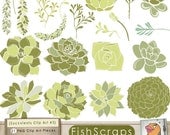 Succulents - Floral Clip Art -3- Green - Chic Wedding Invitation Graphics - Commercial Use - Instant Download