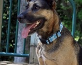 M/L Blue Crowns Dog Collar