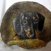 Dog Portrait  Original Oil Painting On Tinder Fungus,Tinder Fungus Art Mushrooms Tree conk, Shelf Mushroom or Artist Conk