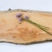 Rustic Wood Serving Board, Natural Edge Salvaged Maple 874, Ready to Ship