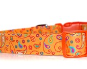Clementine,,  Orange Paisley Custom Dog Collar