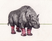 original little drawing. Theodorus Toxodon