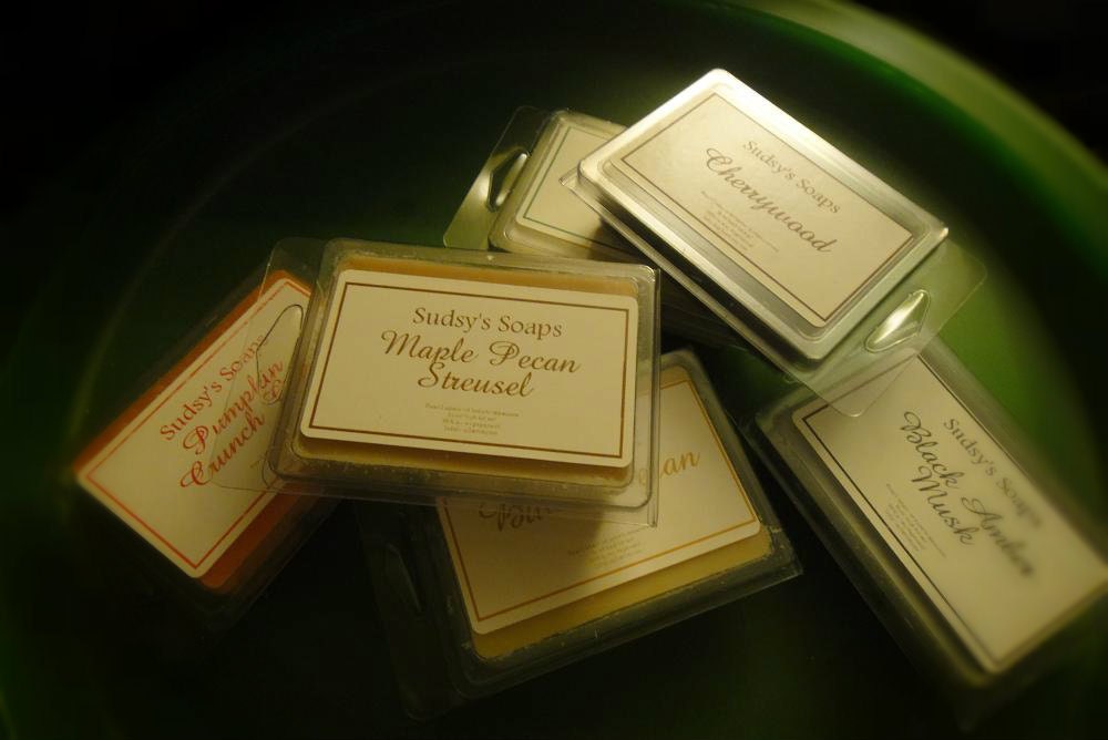 EGYPTIAN NOEL Soy Melt Wax Break A Way Tart 3oz - Cozy, Sweet