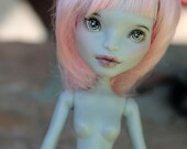 OOAK Monster High Create A Monster Werewolf Doll Custom Repaint