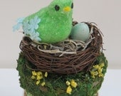 Glass Mason Jar Bird Seed Favor, Canister with Bird Nest