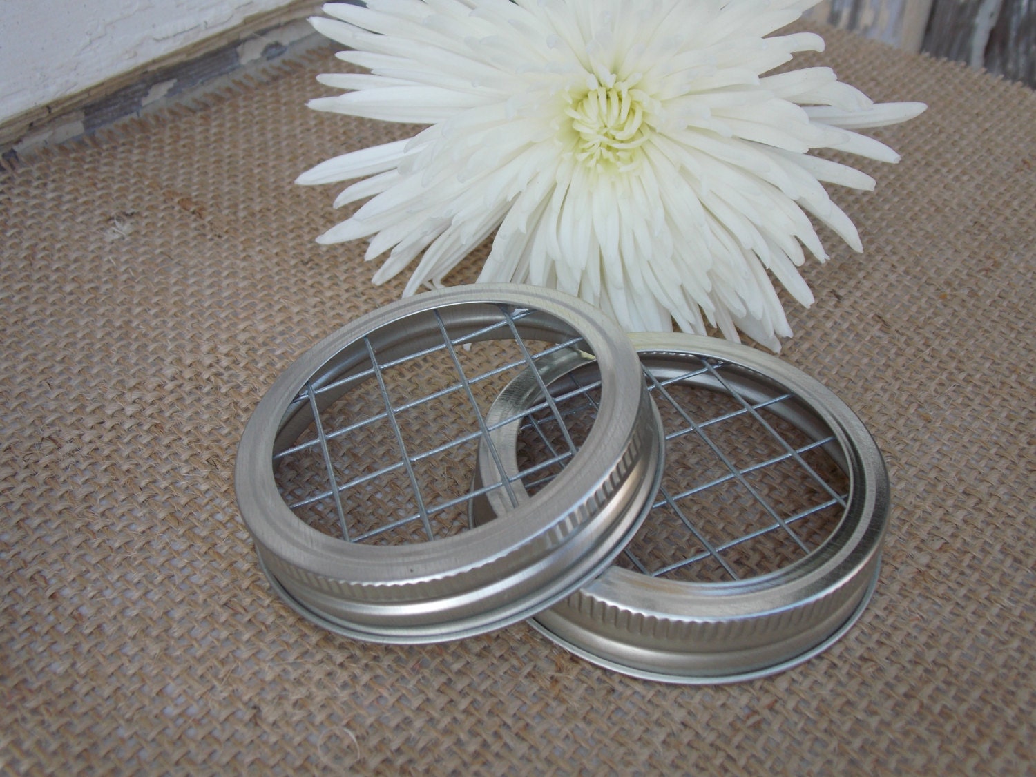 10 Mason Jar lids Frog Flower Lid Regular by DownInTheBoondocks