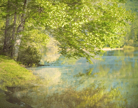 Tree leaning over water - Tanglewood Lake - SPRING nature landscape - Blue Ridge Mtns -blue n greens matted to 8x10 ready to frame
