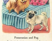 Pomeranian and Pug Illustration by Tibor Gergely  - From a Vintage Childrens Book