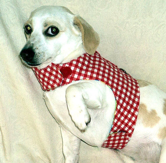 Small dog harness adjustable red gingham reverses to green nursery print handmade pets clothing