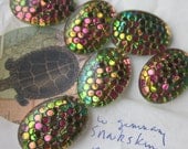 Amazing Vintage Snakeskin Cabochons