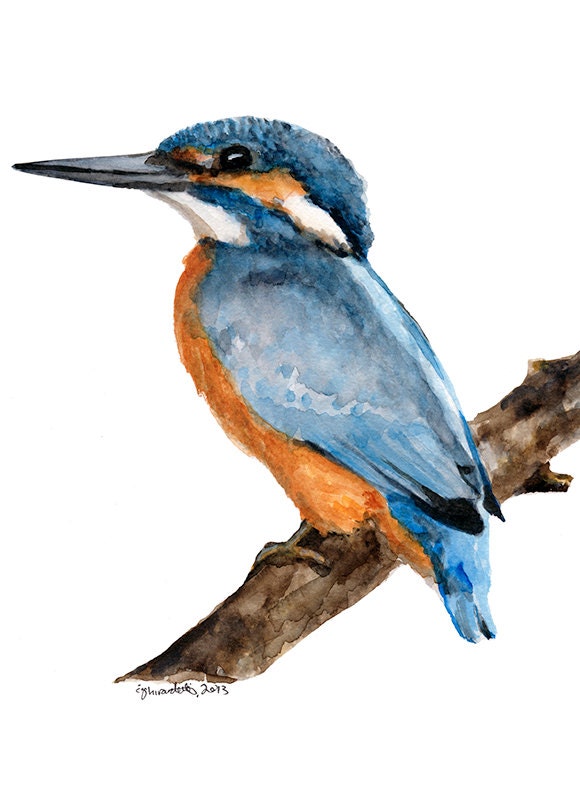 FREE SHIPPING - Handsome Common Kingfisher Watercolour Art Print 5x7"