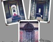 Photography Collection set of 3 rustic brown doors home decor large wall art fine art photos 8x10
