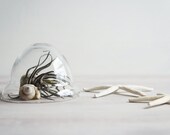 Glass Cloche, Dome- Free Shipping