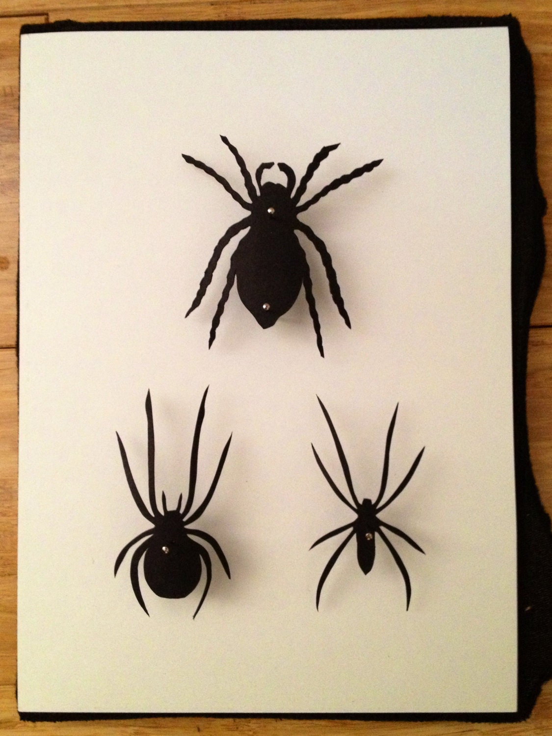 Reserved- Jason & Ian's Registry (Small Spider Collection)