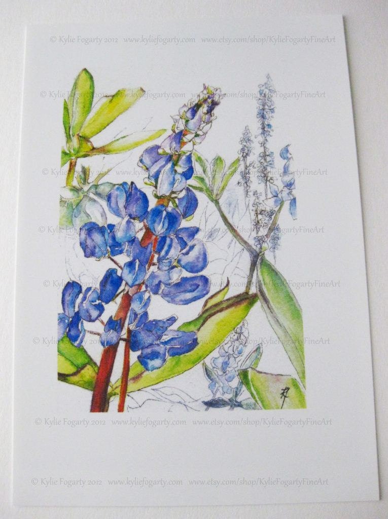 Botanical Art, Flower, 4 x 6 Digital Reproduction Art Print  and Matt -  Wedding  - Blue - Purple - Flower -  Lupin Flowers - Fine Art Print