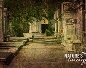 Lafayette Cemetery 1, New Orleans Cemetery, Landscape Photography, Travel Photography, green, wall art, home decor, 8x12 print