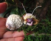 Cute & Tiny Mermaid Mersnail Fairy in Shell by Celia Anne Harris OOAK - Made to Order