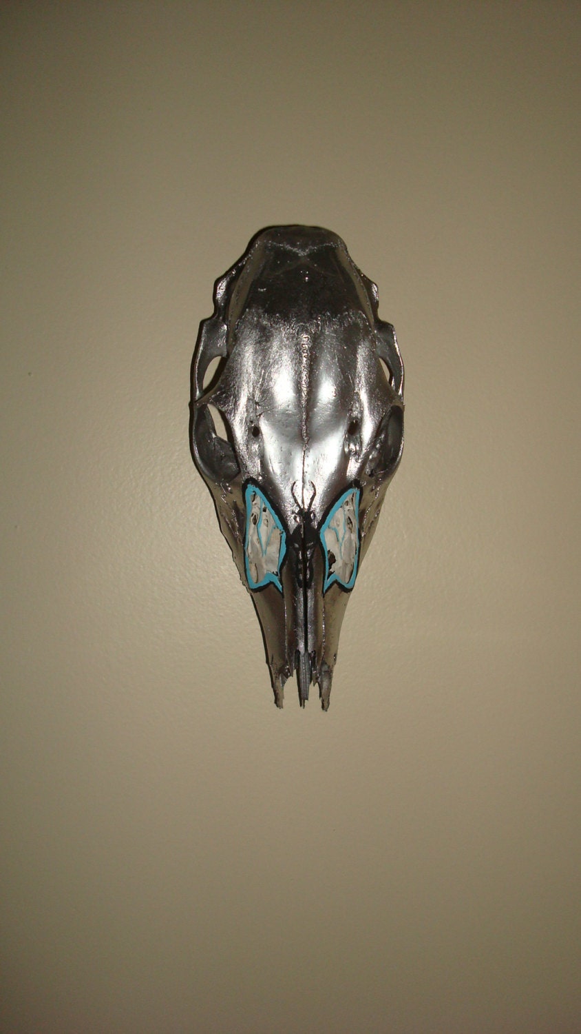 Whitetail Deer Skull  Real Bone Natures Butterfly