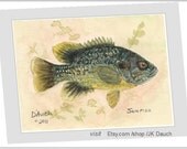 SUNFISH 1 - Original Watercolor Painting by Jamie Dauch a Michigan artist
