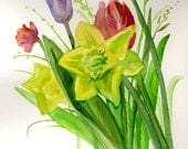 Original Watercolor Spring Flowers painting, yellow, green, red, pink, colorful tulips, narcissus watercolor painting