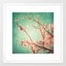 Spring photography, flower photography, love photography, photography, turquoise, pink, flower, home decor