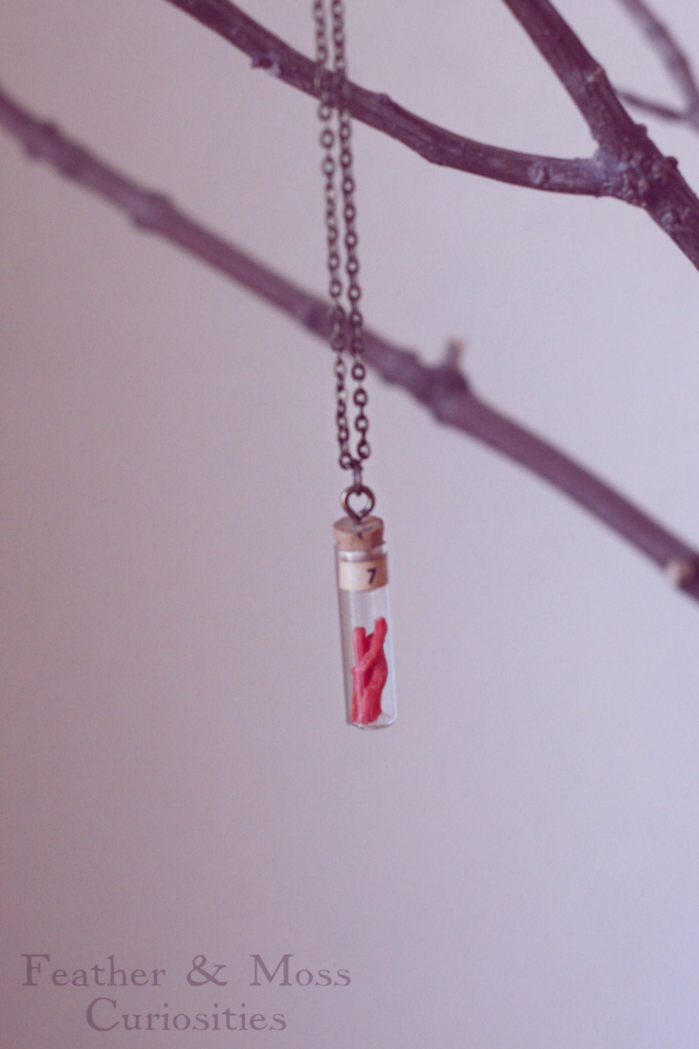 Gorgeia Necklace.  Red Mediterranean coral in a vintage vial.
