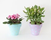 Pair of small plant pots, instant collection, succulent planter spring decor, painted pastel pottery