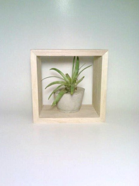 Shadow Box Picture Frame, Rustic Picture Frame, Succulent Planter, Air Plant Holder, Concrete Vase