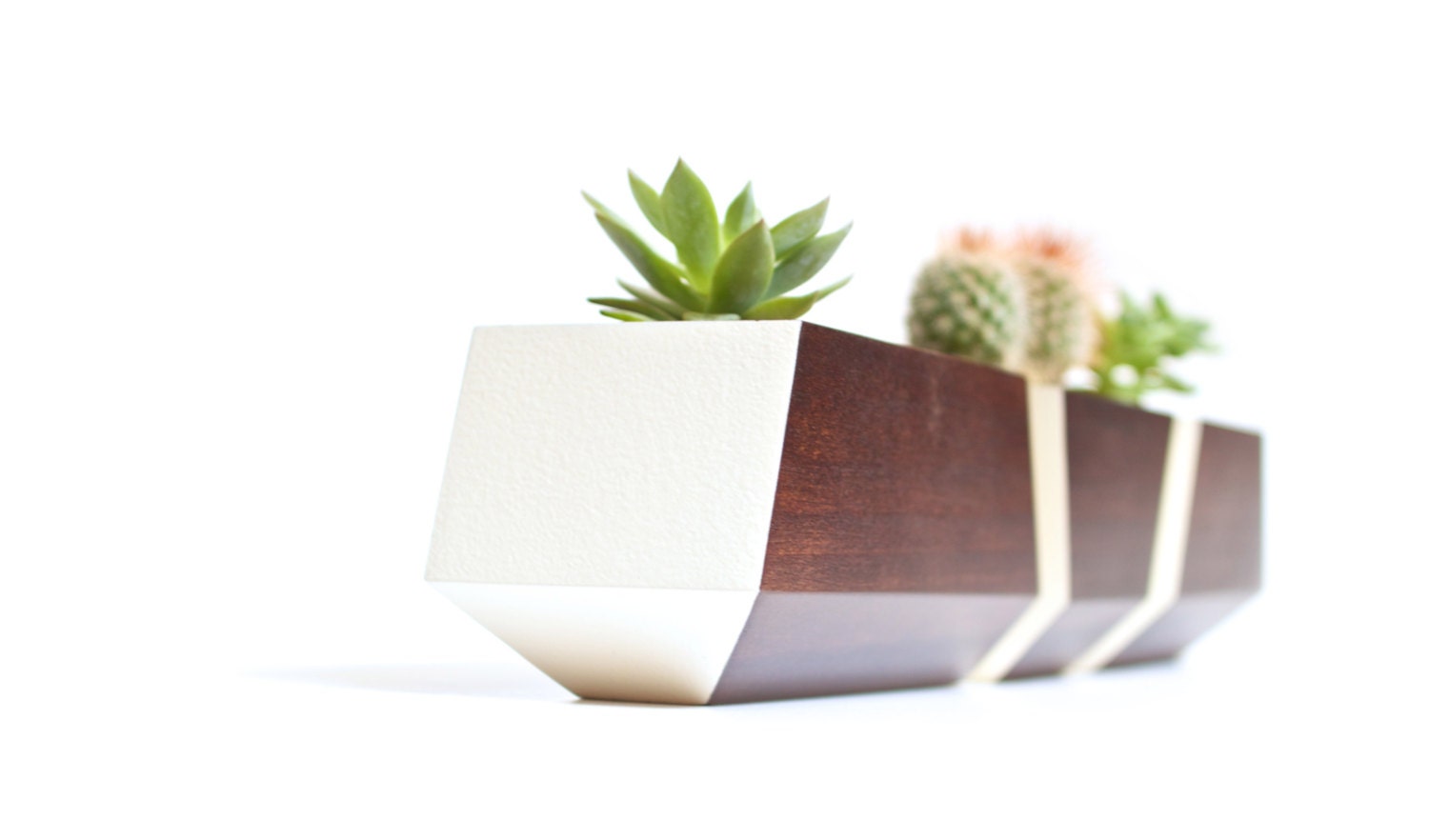 Boxcar Succulent Planters - Poplar with Bone White