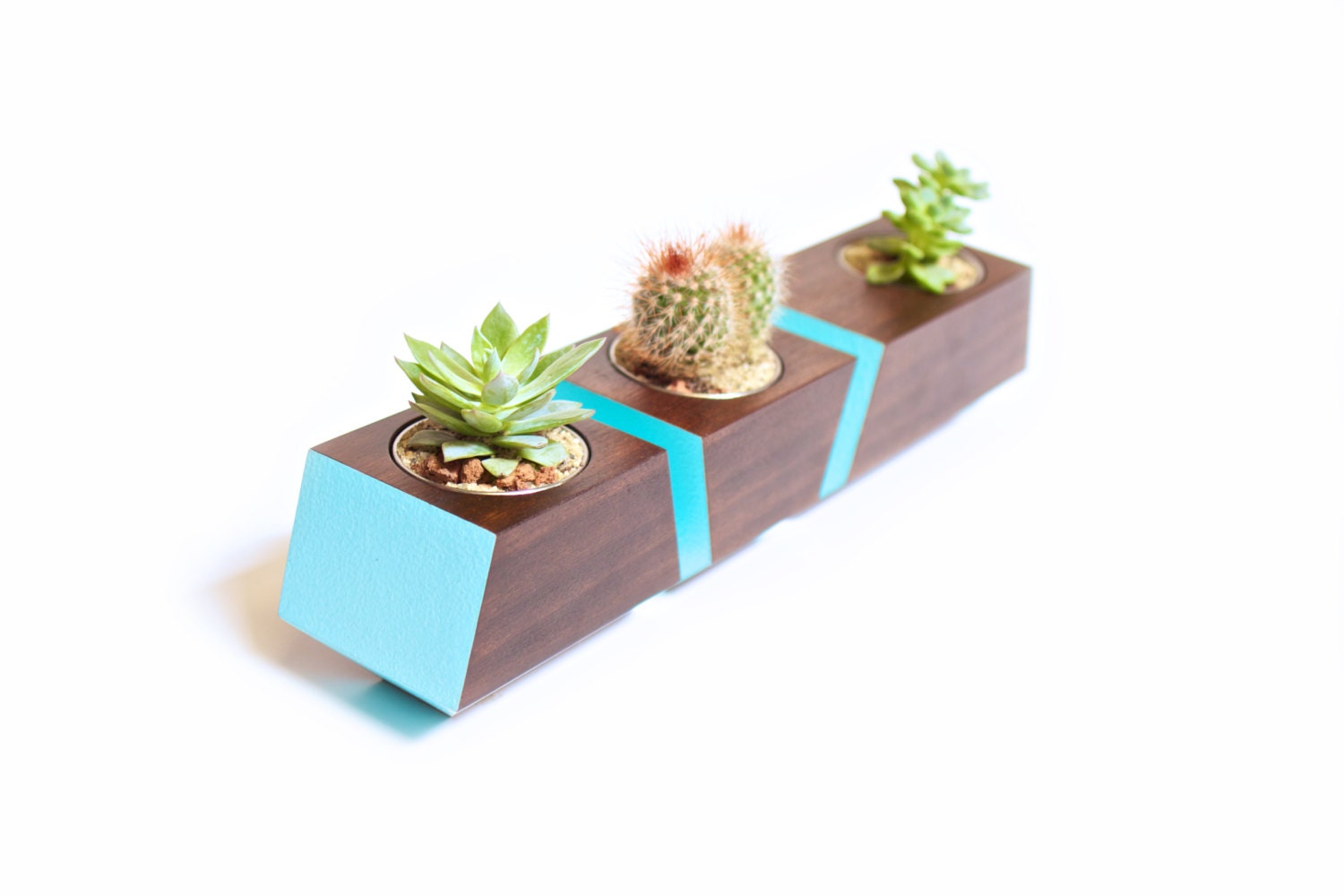 Boxcar Succulent Planters - Poplar with Robin Egg Blue