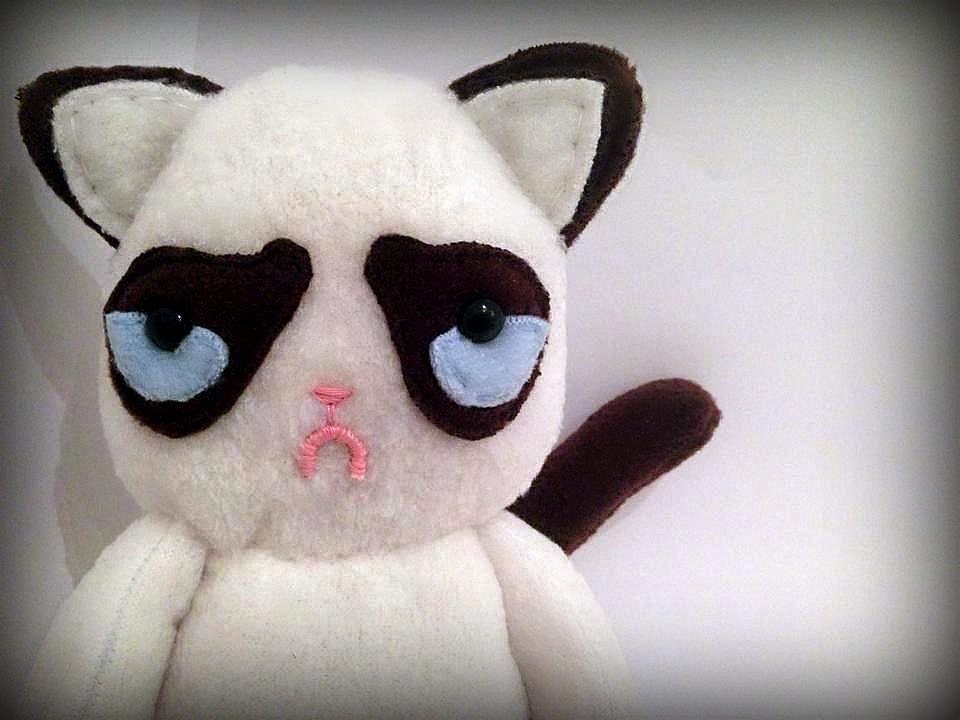 Le Grumpy Cat