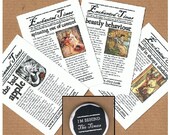 Behind the Times pinback button badge PLUS set of 4 mini notecards - fairy tale newspaper