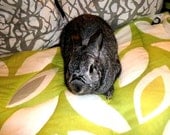 soft quilted carrier liner blanket for bunny rabbits cotton - the Bun-velope - green leaves print
