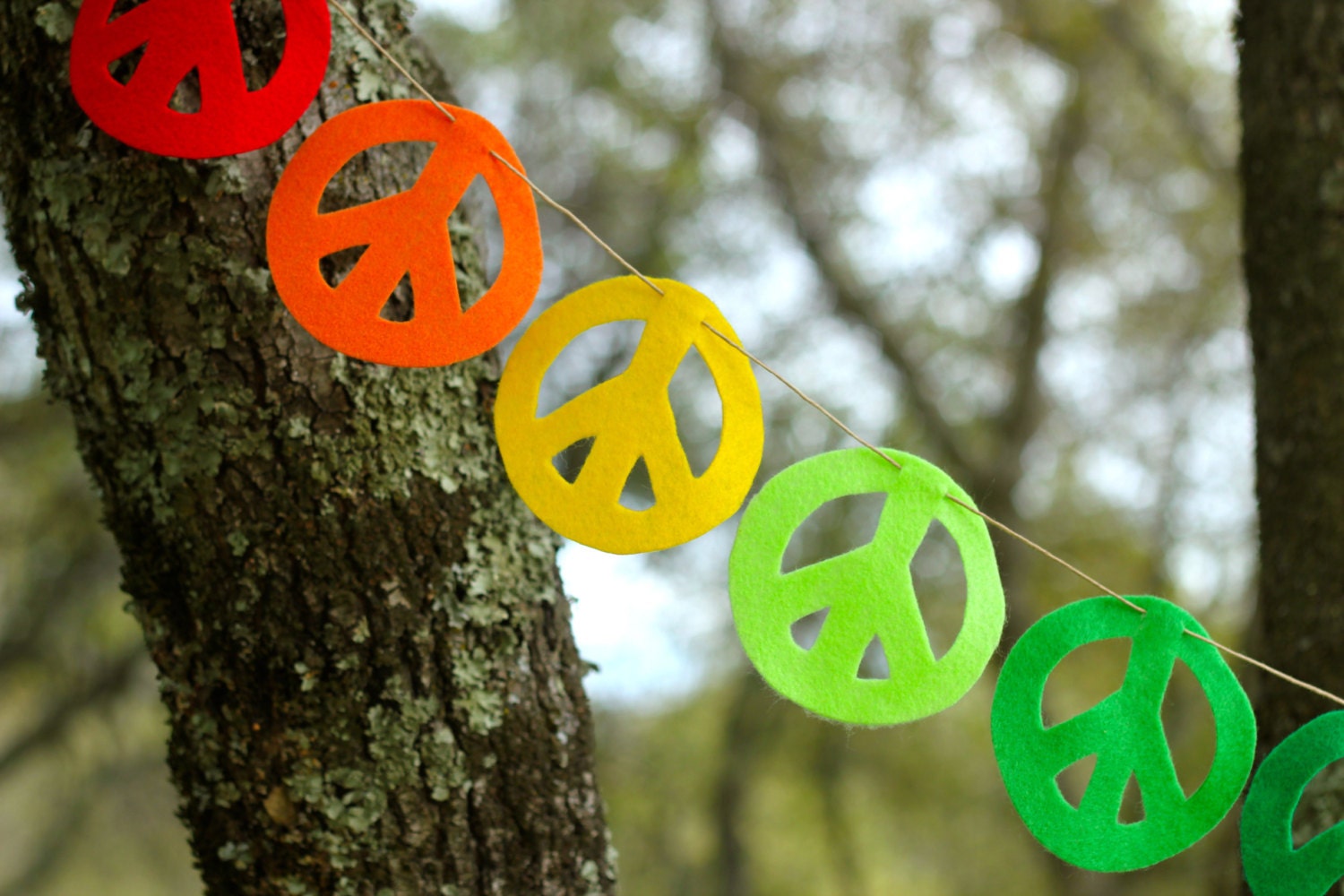 Rainbow Peace Sign Felt Garland