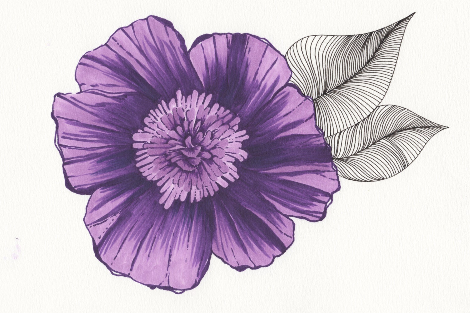 Pretty Purple Flower Art Drawing 8x10" Print Unframed