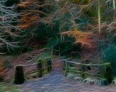 I take the path less travelled  - 5" x 7" - digital painting, surreal fairytale nature landscape tree photography - wall art home decor