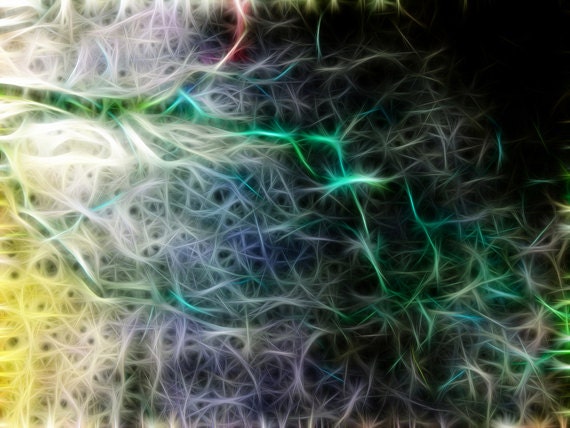 Growth - incredible fractal digital painting - abstract 8" x 10" -  sasha jackson photography - modern wall art - home decor - amazing