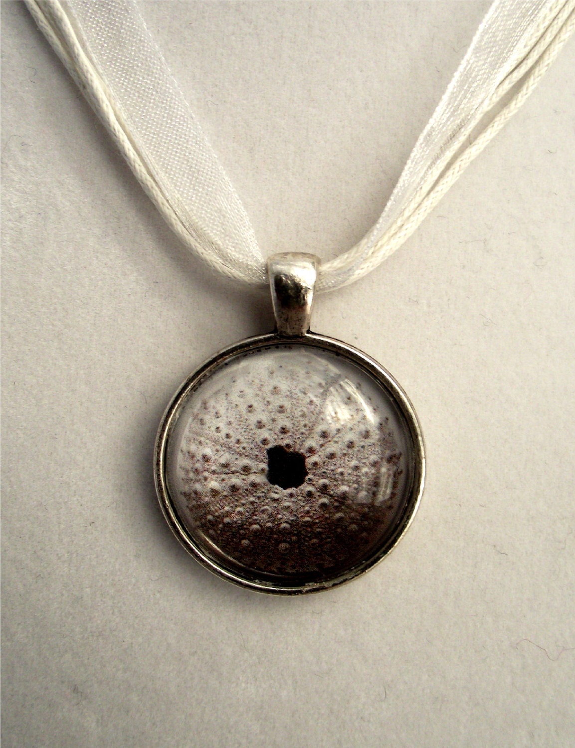 Sea Urchin Shell Photography Jewelry - Glass Bezel Pendant with Cord - Water/Ocean/Beach/Fish/Nature/Sand/Black and White/Mothers Day