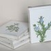 Mixed Herbs Set of 4 Hand-carved Linocut Letterpress Blank Cards