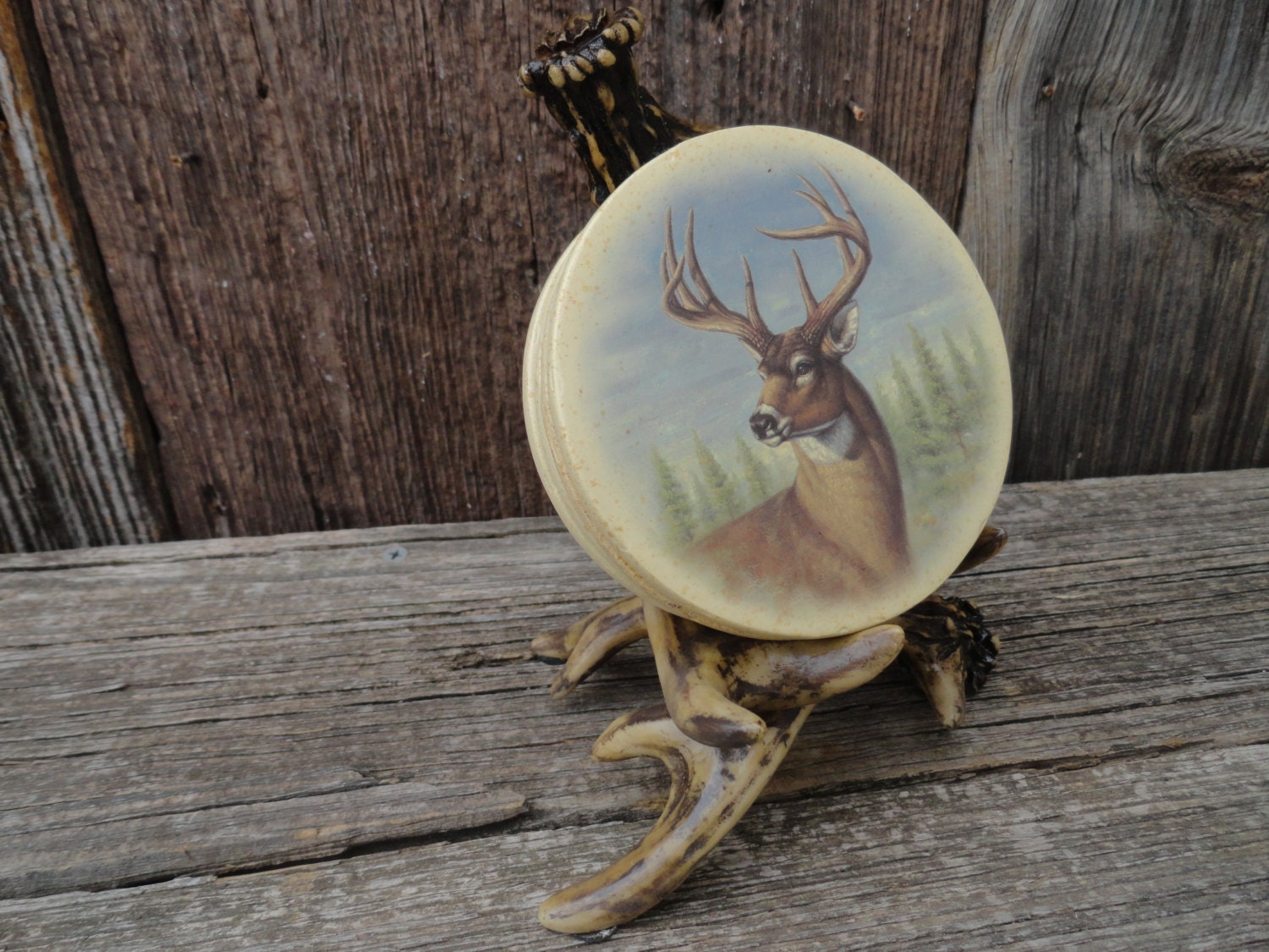 Faux Taxidermy/ Antler Coaster Set/ Rustic Coaster Set/ Faux Antlers/ Mens Gift