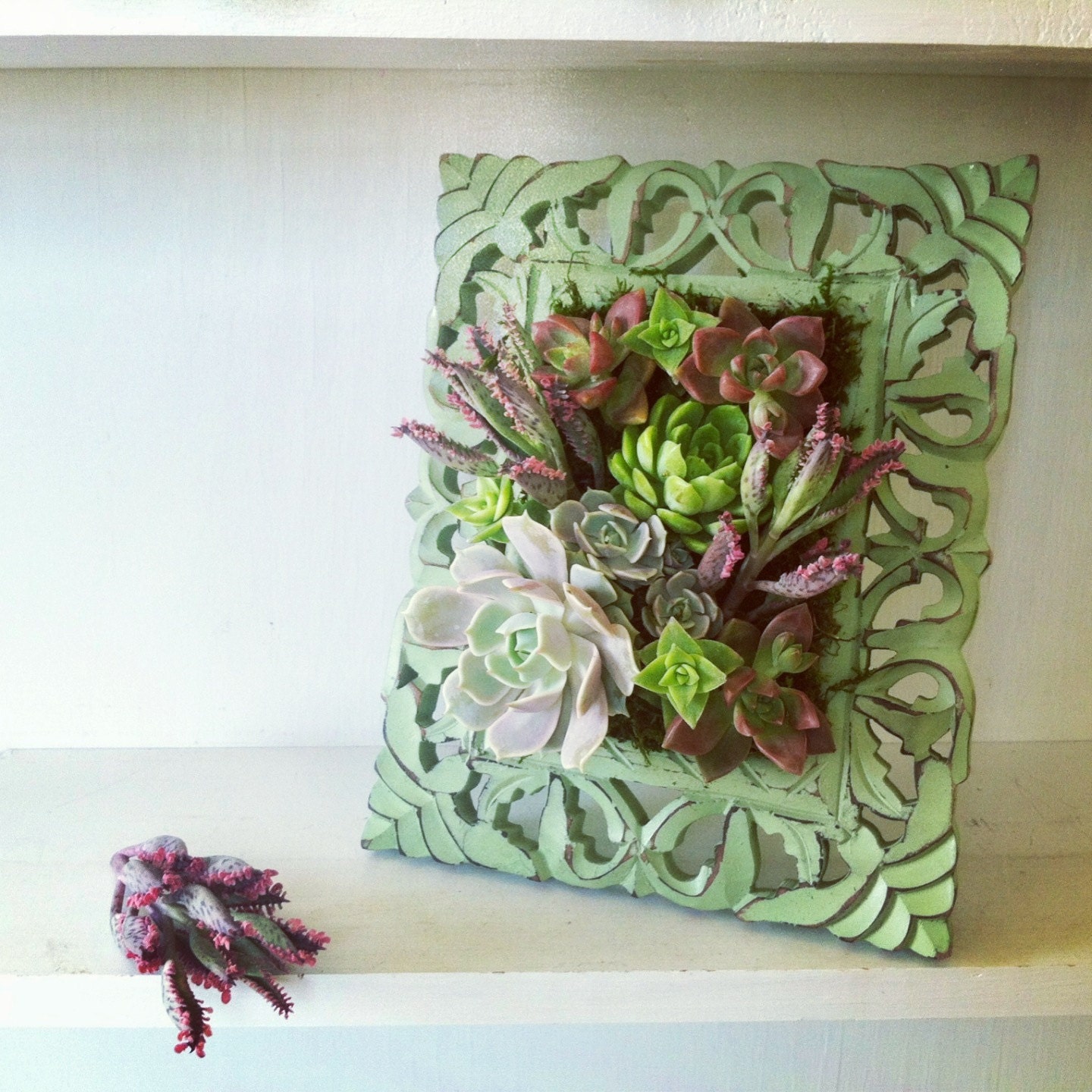 8x10 Vertical Succulent Garden, Vertical Succulent Planter, Living Wall