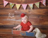 The "Edith" Bunting.  As Shown, Shabby Chic Banner, Fabric Pennant Flags, Med. Flags in Pink, Red, Aqua and Green Party Decor, Prop.