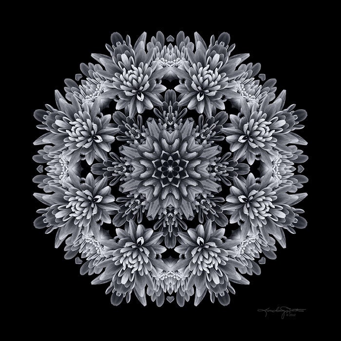 Mudita - Black and White Flower Mandala - Meditation Art