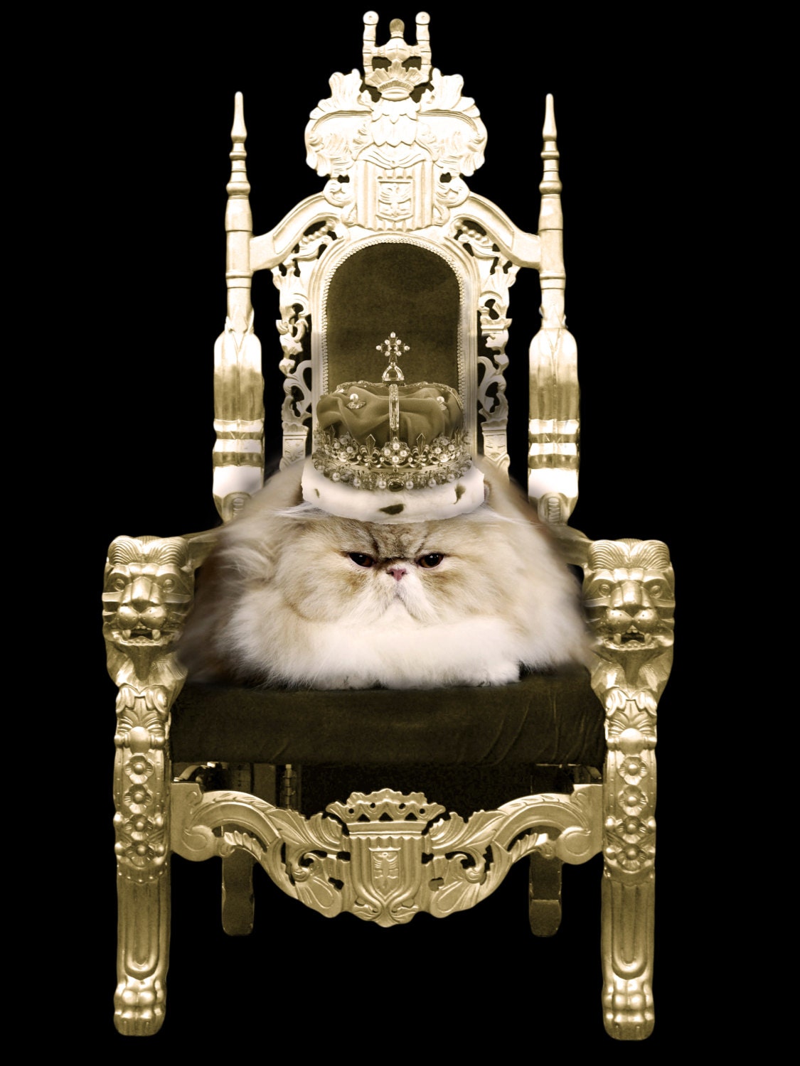 Women's Persian Queen dolman top, Cat tee, Watch the Throne, Available S-XL