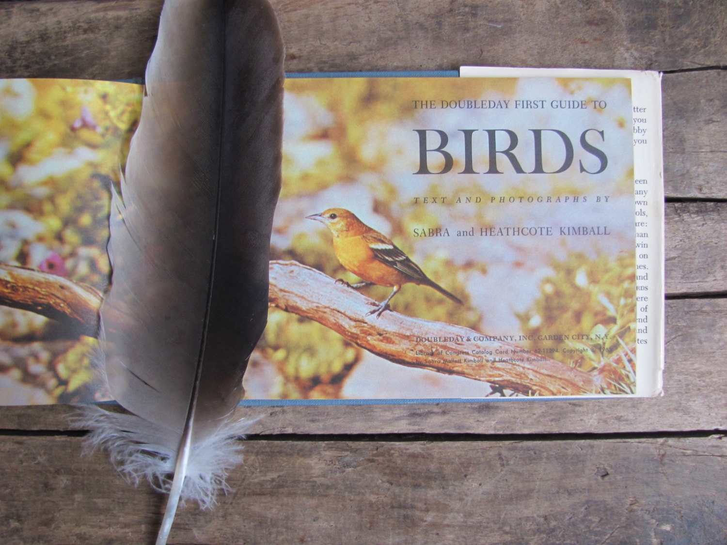 vintage 1960s nature book // The Doubleday First Guide to Birds