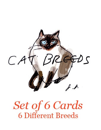 Cat Breeds- Set of 6 Cards- ON SALE
