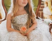 Silver Constellation Flower Girl Dress (with your choice of sash color)